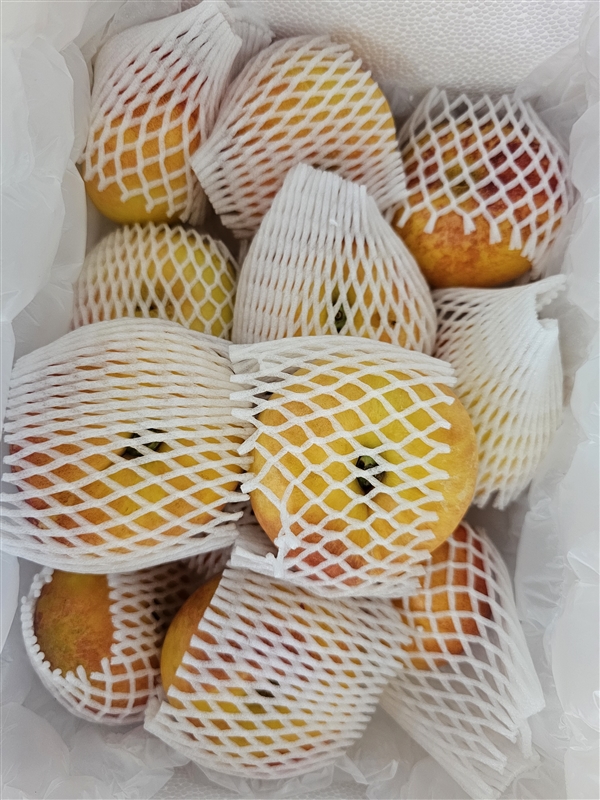 KakaoTalk_20260909_153139286.jpg